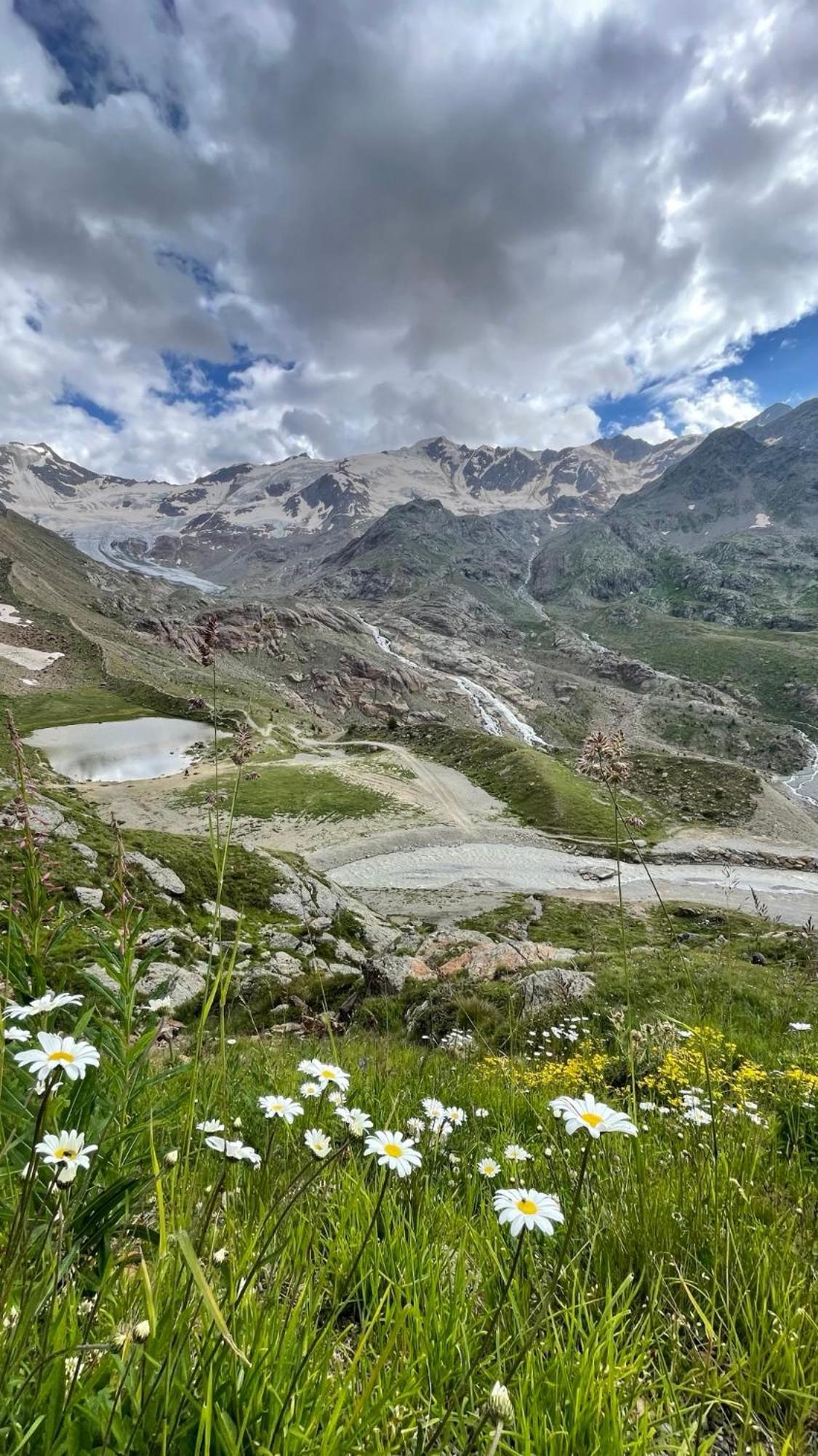 Genzianella 3* Santa Caterina Valfurva